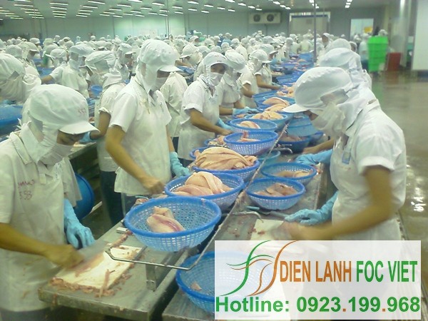 Lắp đặt kho lạnh thủy hải sản