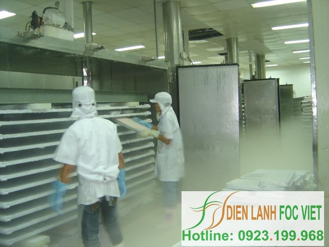 Lắp đặt kho lạnh thủy sản