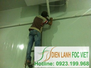 Thiết kế lắp đặt kho lạnh chuyên nghiệp