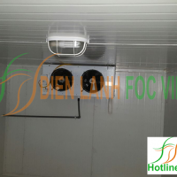 lắp đặt kho lạnh trái cây