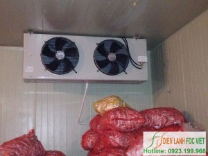 Kho lạnh bảo quản khoai tây giống | Kỹ thuật sản xuất khoai tây giống