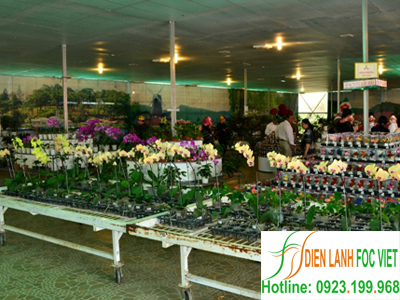lắp đặt kho lạnh bảo quản hoa