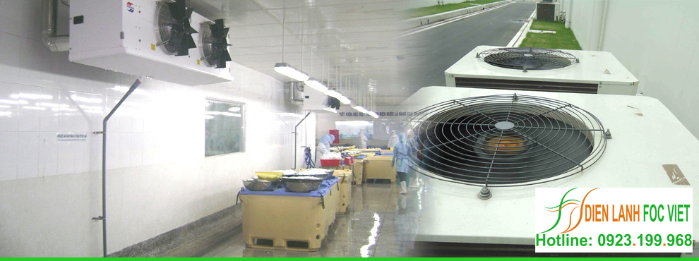 kho lạnh bảo quản thủy sản