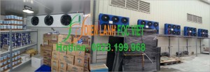 Lắp đặt kho lạnh chuyên nghiệp Lắp đặt kho lạnh chuyên nghiệp