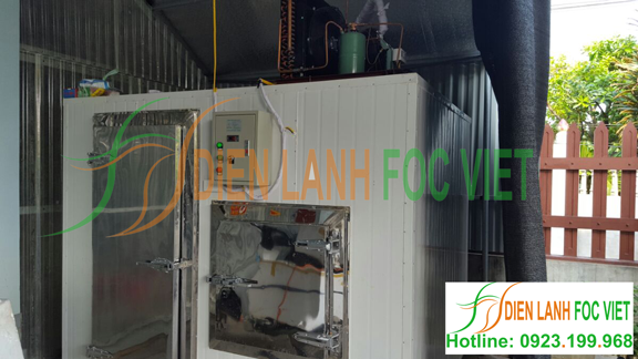 lắp đặt kho lạnh bảo quản đá viên