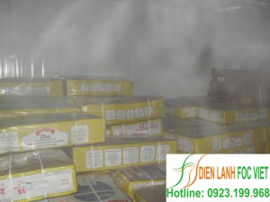 Kho đông lạnh thực phẩm – đông lạnh thực phẩm an toàn
