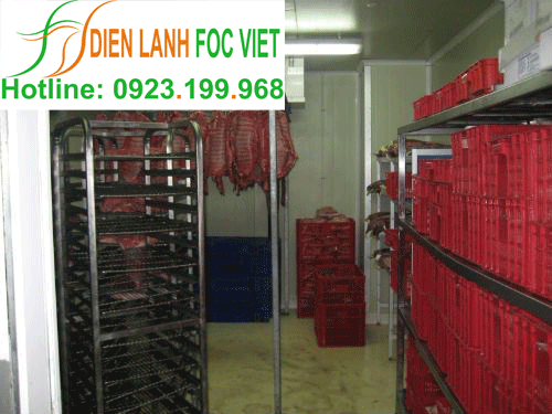 dịch vụ sửa chữa kho lạnh