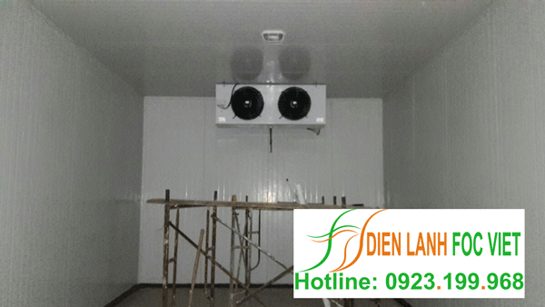 lắp đặt kho lạnh bảo quản khoai tây