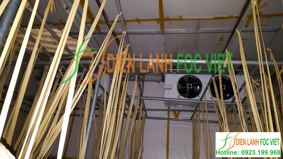 phòng lạnh nuôi trồng nấm