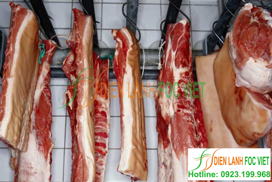Kho lạnh bảo quản thịt lợn