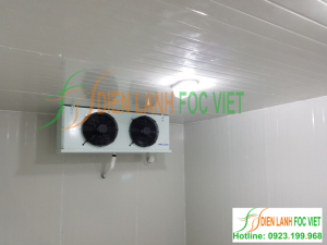 Thi công kho lạnh bảo quản tảo xoắn tại Nghệ An Thi công kho lạnh bảo quản tảo xoắn tại Nghệ An