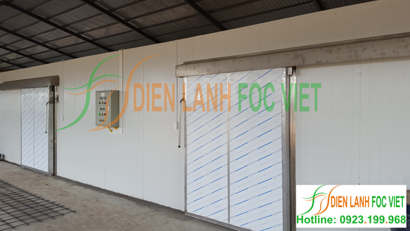 lắp đặt kho lạnh bảo quản dưa lưới