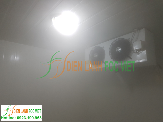 lắp đặt kho đông kho mát bảo quản trái cây