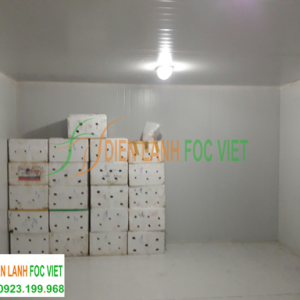 kho lạnh bảo quản cam tươi