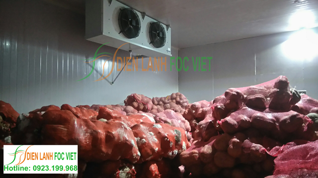 lắp đặt kho lạnh bảo quản bí