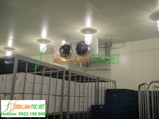 Thi công kho lạnh bảo quản sinh phẩm y tế